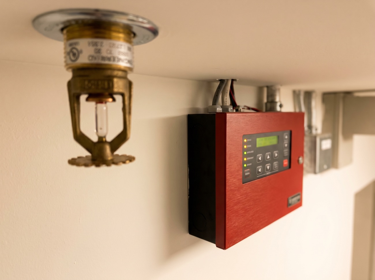 Sprinkler heads and standpipe risers installed in a Platinum Buildex building
